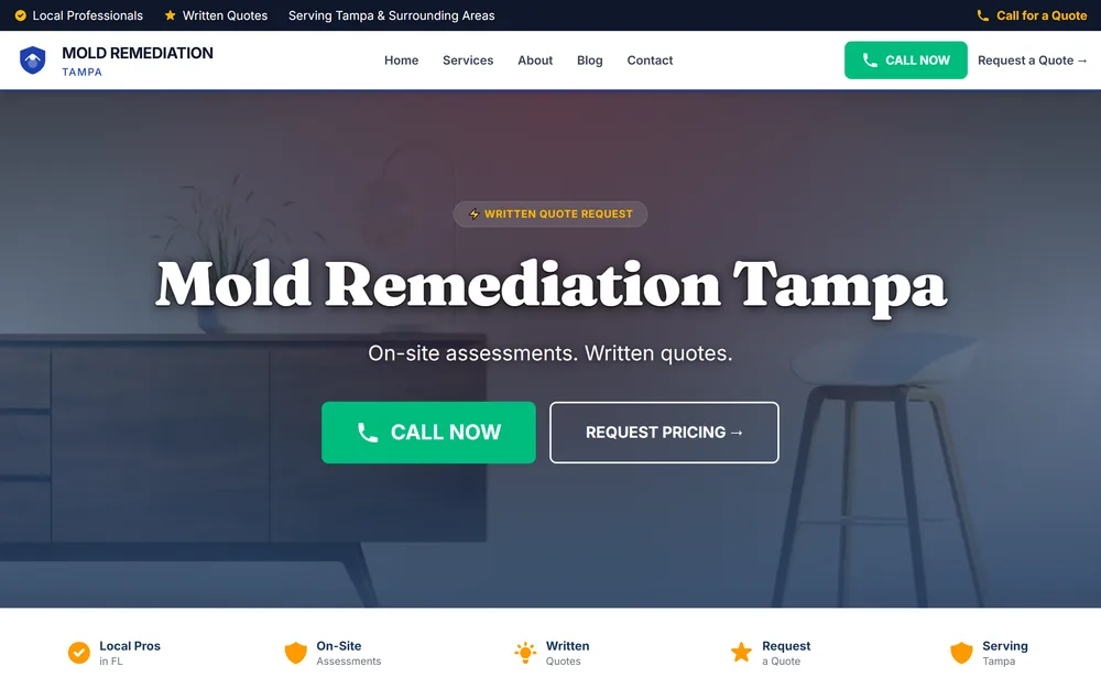 Mold Remediation website — Tampa, FL